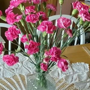 Meet your Posher, Susan